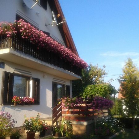 Guest House Adrijana Seliste Dreznicko Ngoại thất bức ảnh