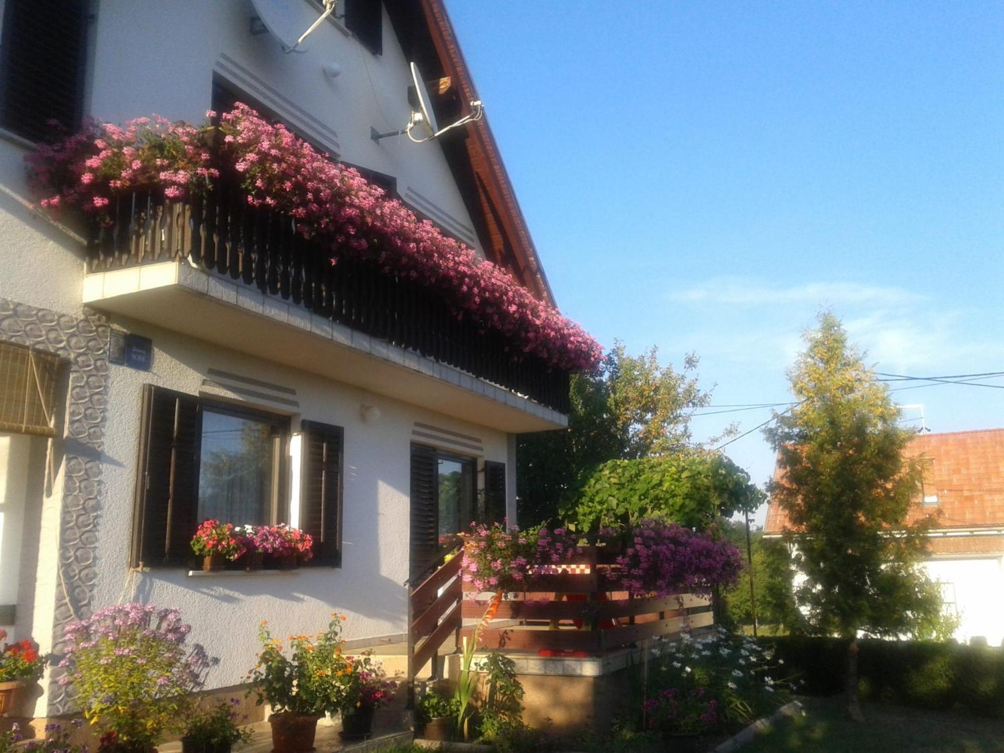 Guest House Adrijana Seliste Dreznicko Ngoại thất bức ảnh