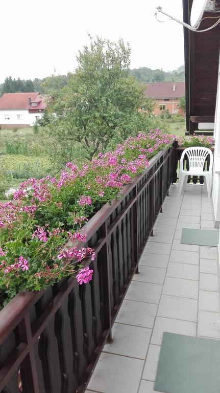 Guest House Adrijana Seliste Dreznicko Ngoại thất bức ảnh