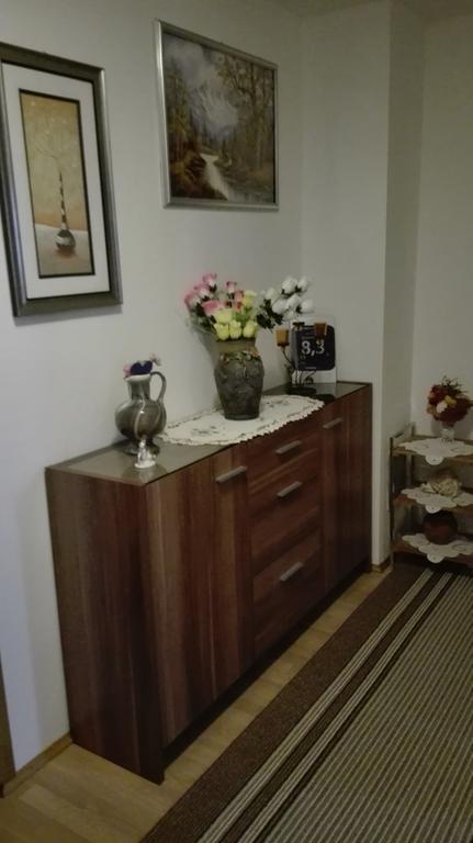 Guest House Adrijana Seliste Dreznicko Ngoại thất bức ảnh