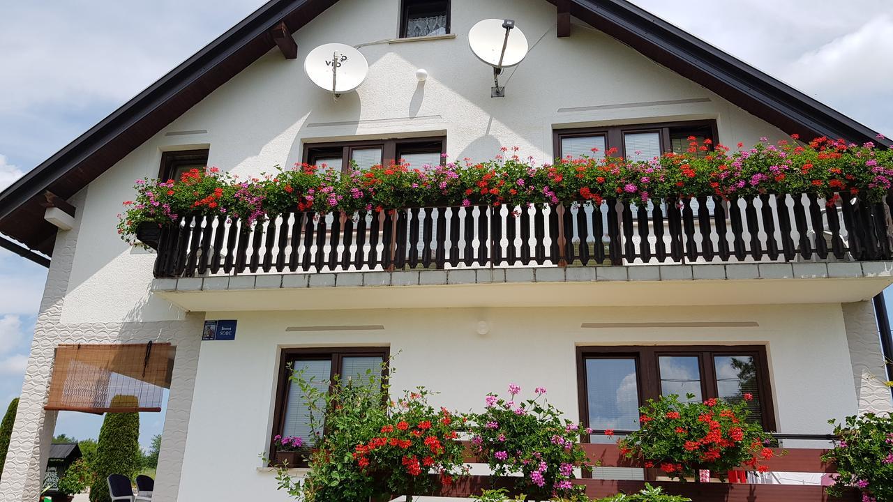 Guest House Adrijana Seliste Dreznicko Ngoại thất bức ảnh