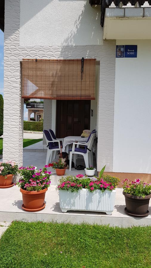 Guest House Adrijana Seliste Dreznicko Ngoại thất bức ảnh